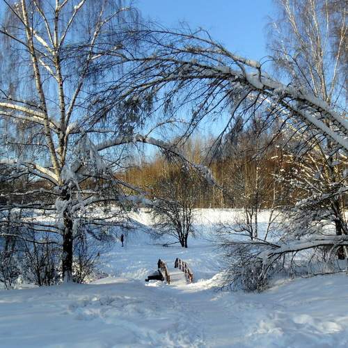Photo #8485164