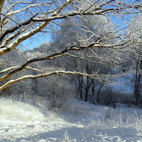 Photo #8485173