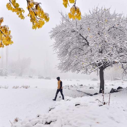 Photo #8485196