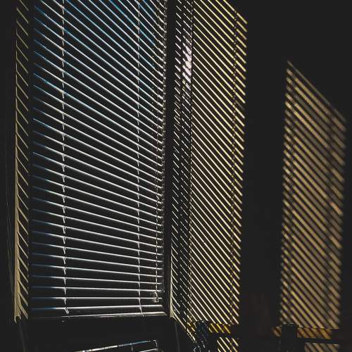 Photo #8485228