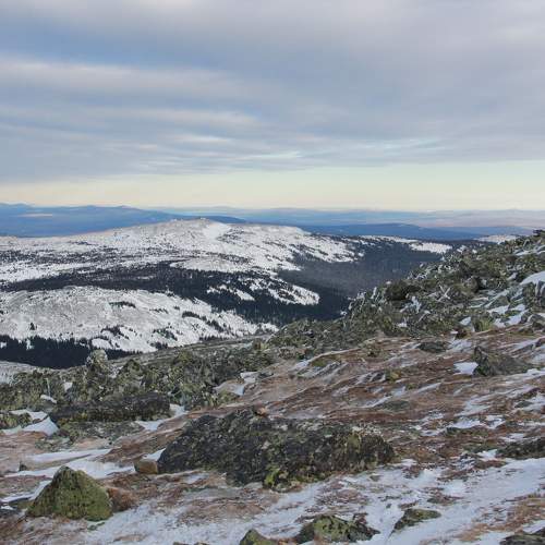Photo #8485300