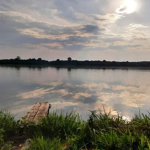 Photo #8485339