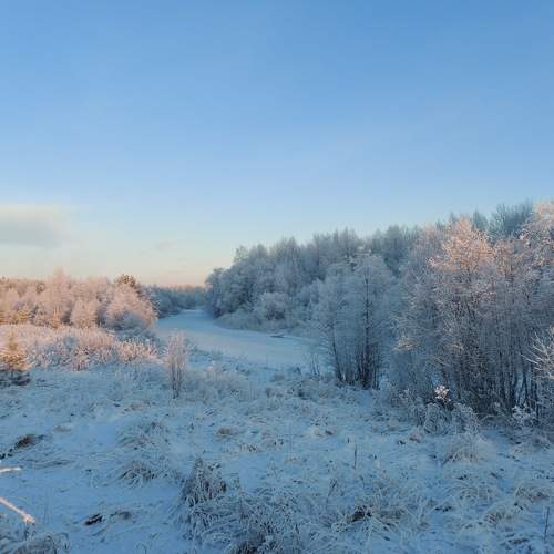 Photo #8485490