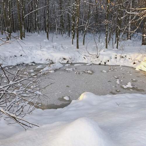Photo #8485509