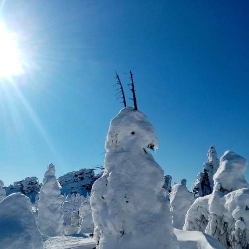 Photo #8485512