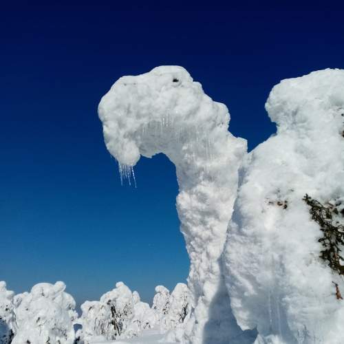 Photo #8485515