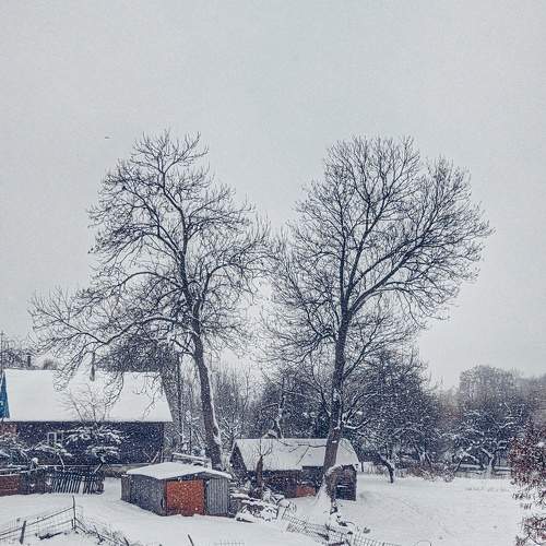 Photo #8485519