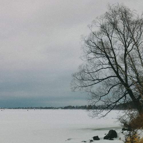 Photo #8485571