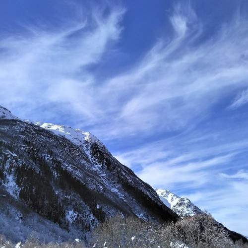 Photo #8485644