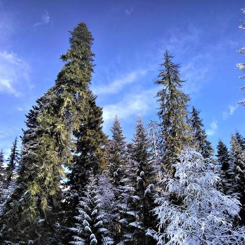Photo #8485647