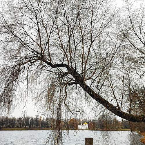 Photo #8485820