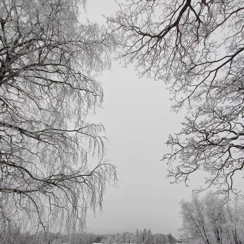 Photo #8485861