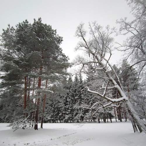 Photo #8485864
