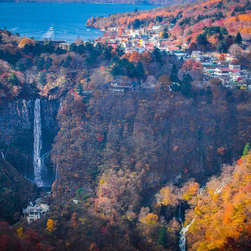 Photo #8486340