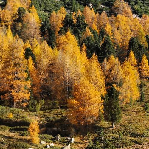 Photo #8486523