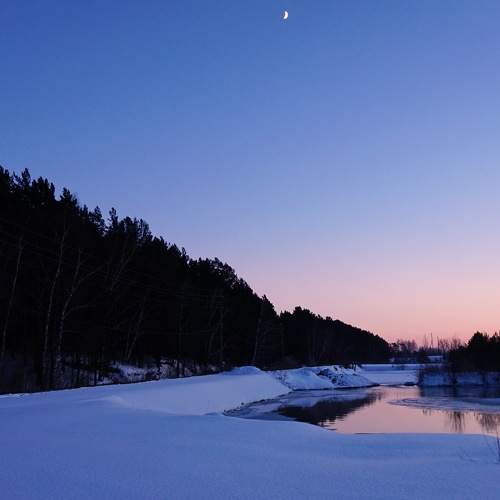 Photo #8486533