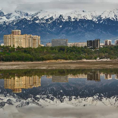Photo #8486596