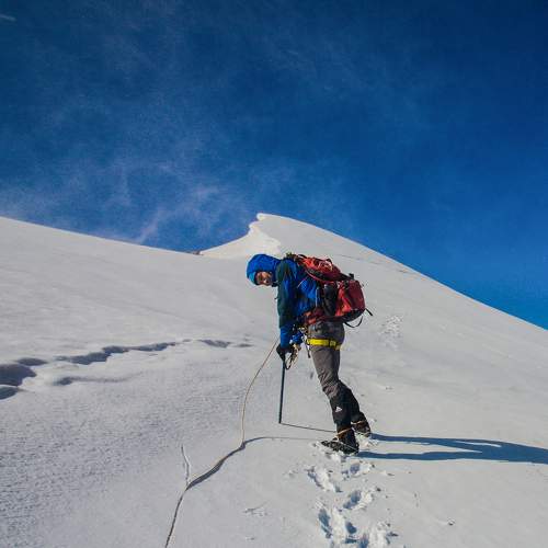 Photo #8486612