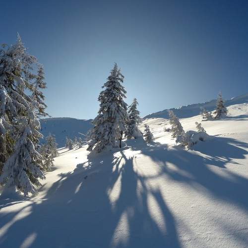 Photo #8486653