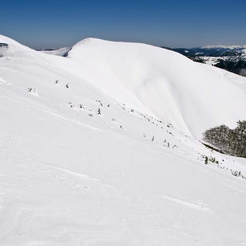 Photo #8486654