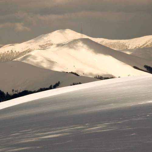 Photo #8486656