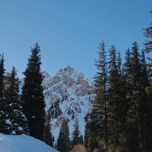 Photo #8486721
