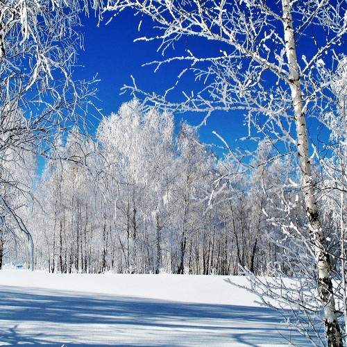 Photo #8486745