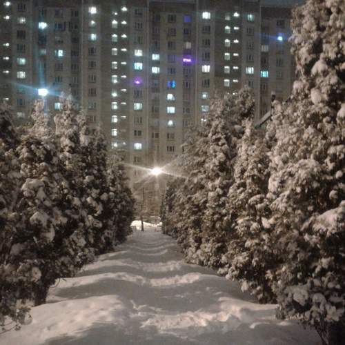 Photo #8487098