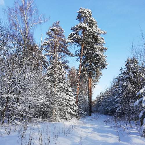 Photo #8487183