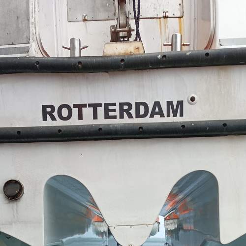 Photo #8487307