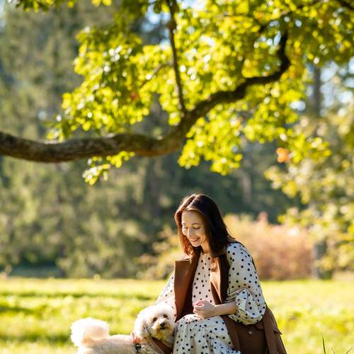 Photo #8487343