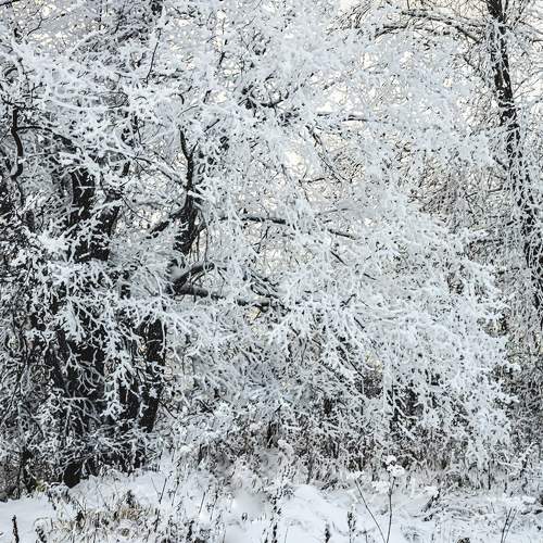 Photo #8487477
