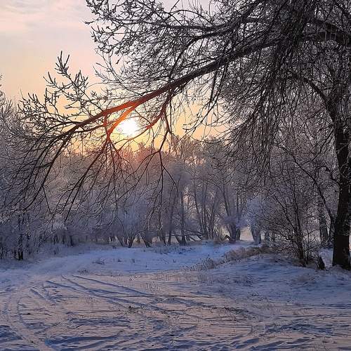 Photo #8487532