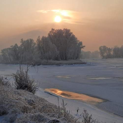 Photo #8487533