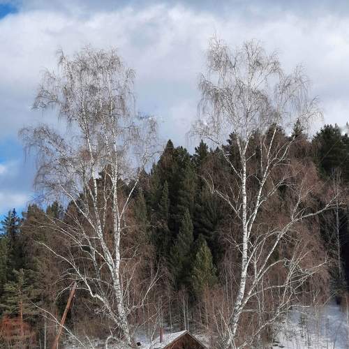 Photo #8487548