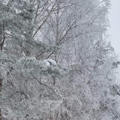 Photo #8487576