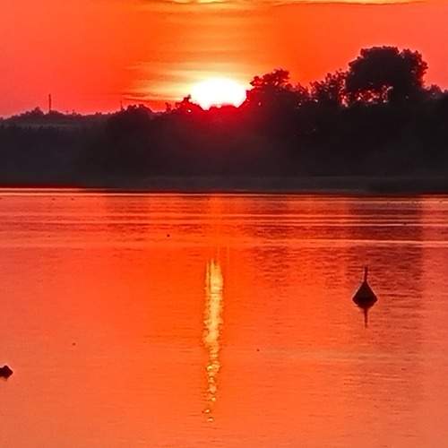 Photo #8487765