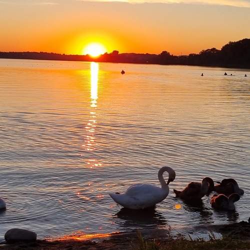 Photo #8487767