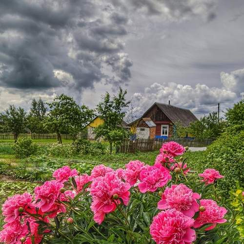 Photo #8487776