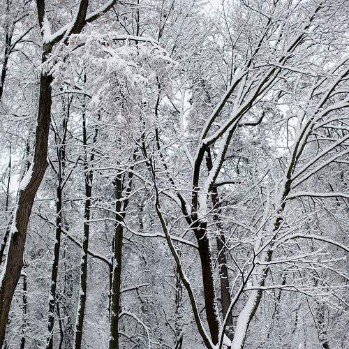 Photo #8487781