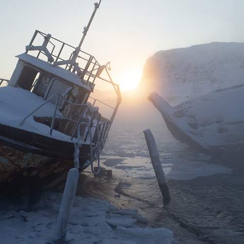Photo #8487782