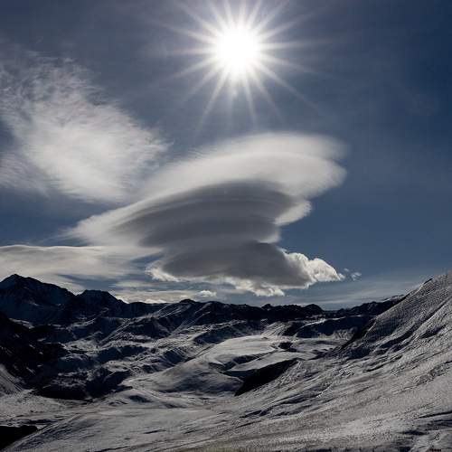Photo #8487785