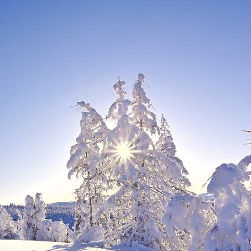 Photo #8487897