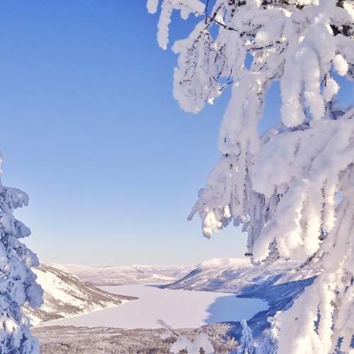 Photo #8487903
