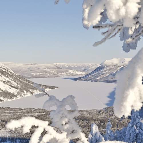 Photo #8487920