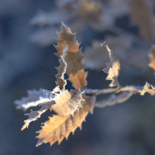 Photo #8488562