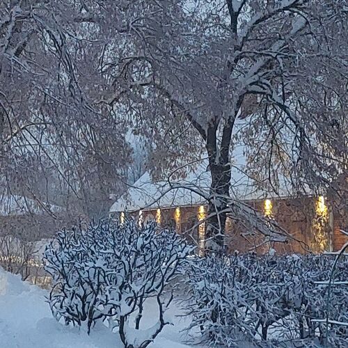 Photo #8488578
