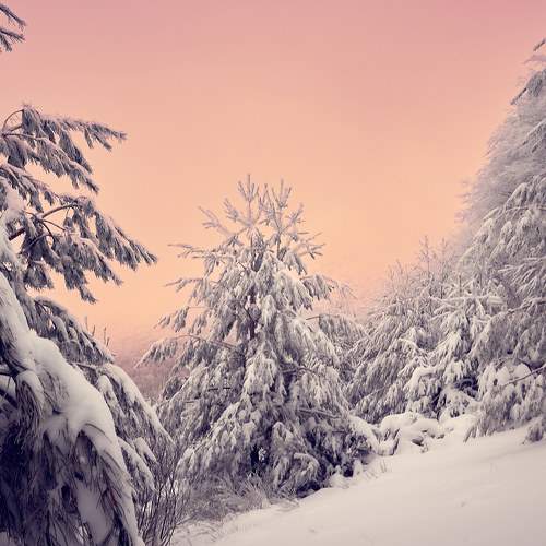 Photo #8488603