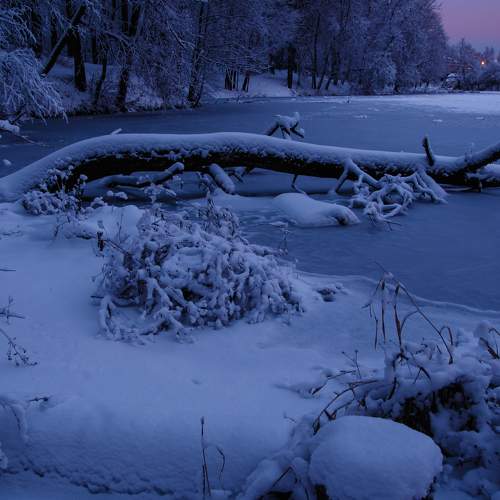 Photo #8488806