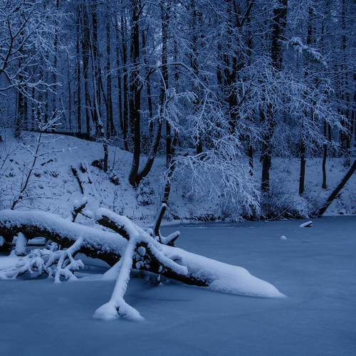 Photo #8488807